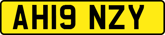 AH19NZY