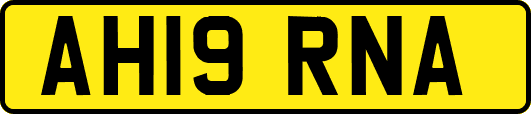 AH19RNA