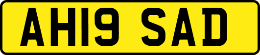 AH19SAD