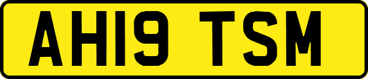 AH19TSM