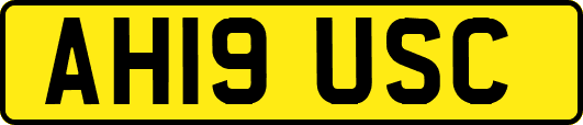 AH19USC