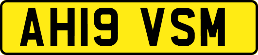 AH19VSM