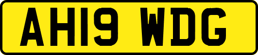AH19WDG