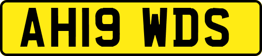 AH19WDS