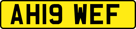 AH19WEF