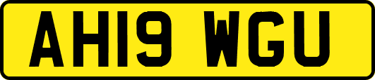 AH19WGU