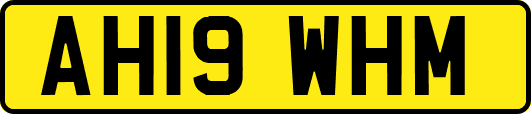 AH19WHM