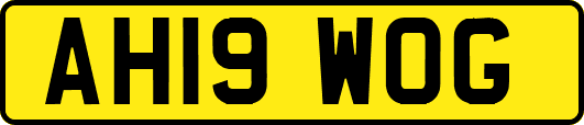 AH19WOG