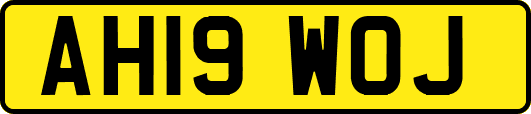 AH19WOJ
