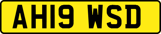 AH19WSD