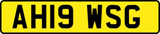 AH19WSG
