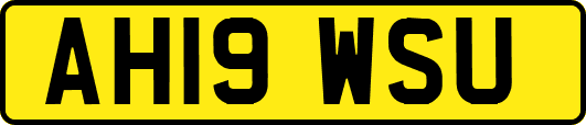 AH19WSU