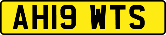 AH19WTS