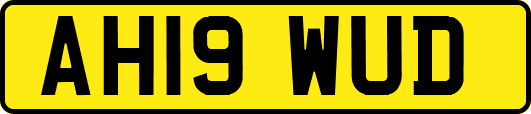 AH19WUD