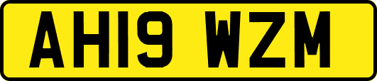 AH19WZM