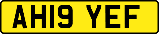 AH19YEF