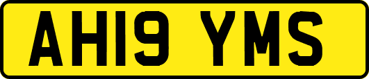 AH19YMS