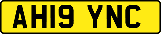AH19YNC