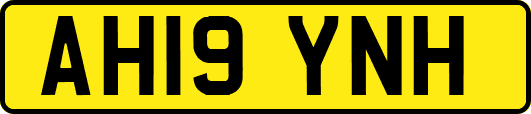 AH19YNH