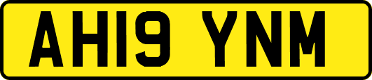 AH19YNM