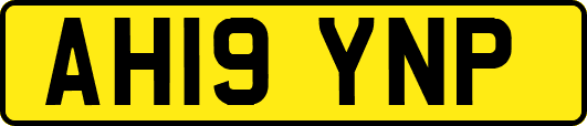 AH19YNP