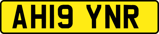 AH19YNR