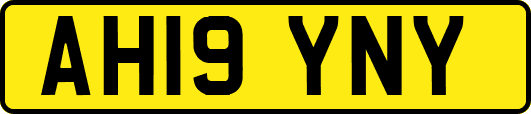 AH19YNY
