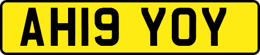 AH19YOY