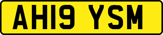 AH19YSM