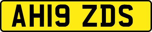 AH19ZDS