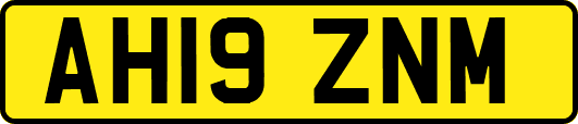 AH19ZNM