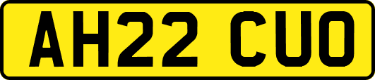 AH22CUO