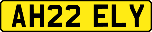 AH22ELY