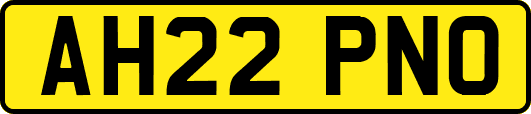 AH22PNO