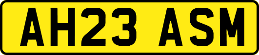 AH23ASM