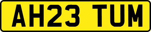 AH23TUM