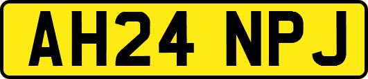 AH24NPJ