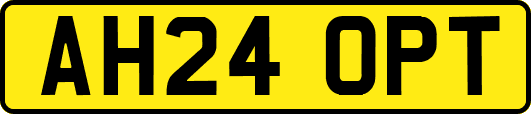 AH24OPT