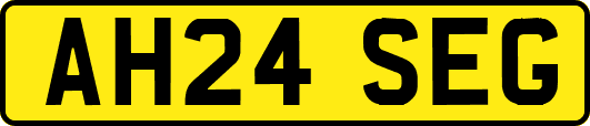 AH24SEG
