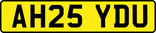 AH25YDU