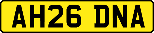 AH26DNA