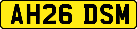 AH26DSM
