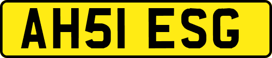 AH51ESG