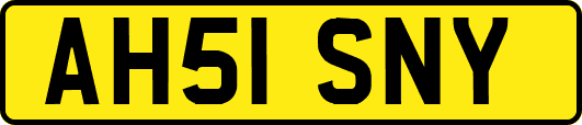 AH51SNY