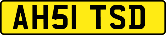 AH51TSD