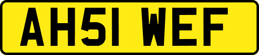 AH51WEF