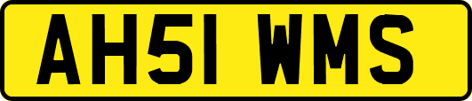 AH51WMS