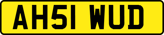 AH51WUD