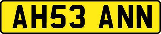 AH53ANN
