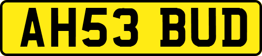 AH53BUD